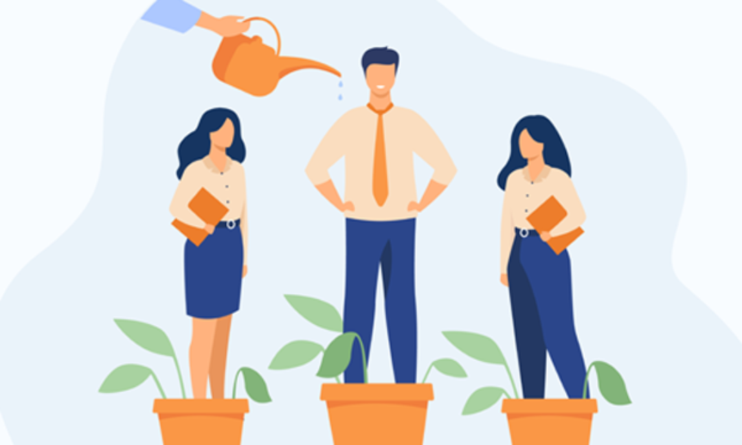 Zoom sur la QVT : une approche systémique du travail