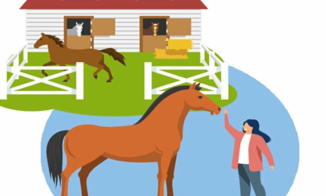 L’équicoaching : le cheval comme miroir et comme coach.